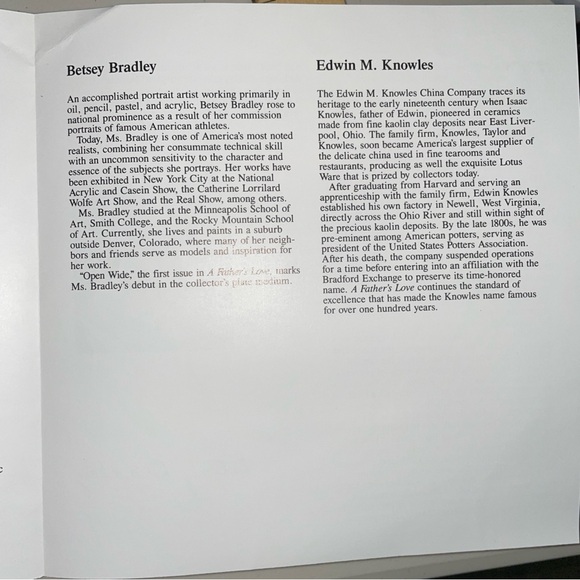 Edwin M. Knowles limited Ed. collector’s plate A Father’s Love Open Wide 1984 - Picture 11 of 11